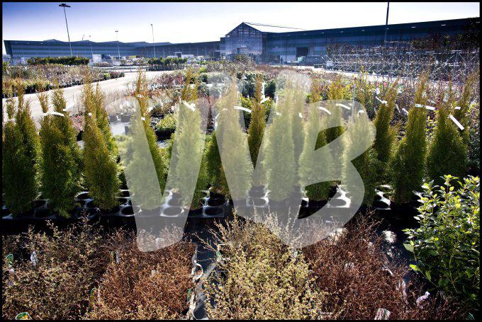 bloemen en planten vvbvanbree     1101